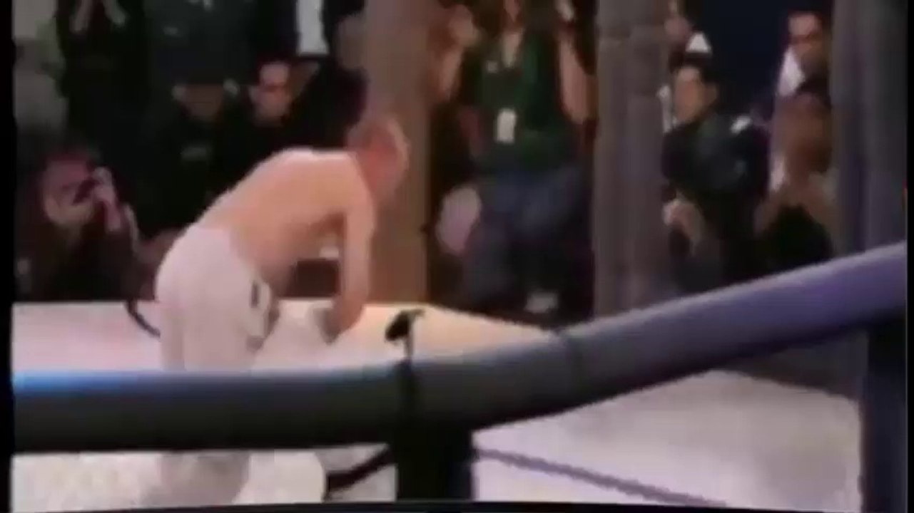 UFC - Knockout - Brock Lesnar - Almost Destroy - Mark Hunt Ultimate DAILYMOTION