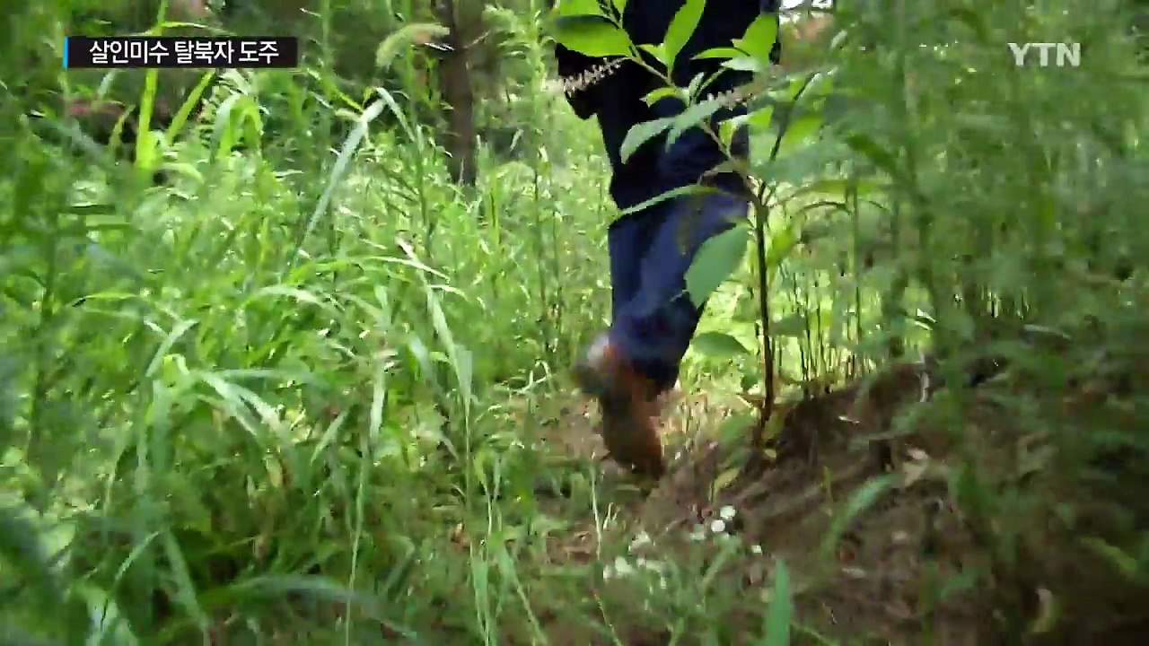 정신병원에서 사라진 살인미수 탈북자 '행방 묘연' / YTN