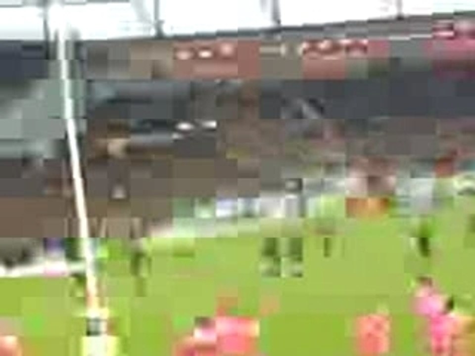 Stade toulousain-stade français Novembre 2007