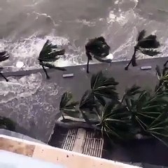 miami sular altında hasar 10 trilyon doları dahi geçebilir 33 milyon inse-en ölümden kaçıyor