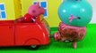 Peppa Pig e George Caem do Reboque do Vovô Cão! Em Português. Novelinha Brinquedos Peppa Pig Toys