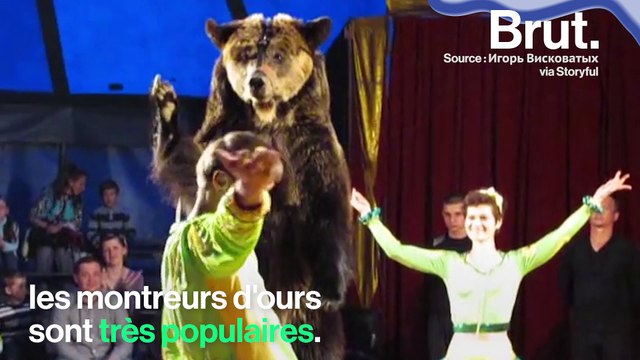 Les animaux de cirque, ça en est où ?