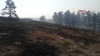 Kütahya'daki Orman Yangını Devam Ediyor - Ek