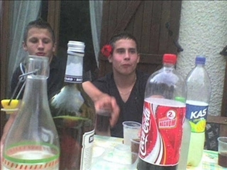 Vido 1