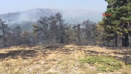 Kütahya'daki Orman Yangını Devam Ediyor - Ek