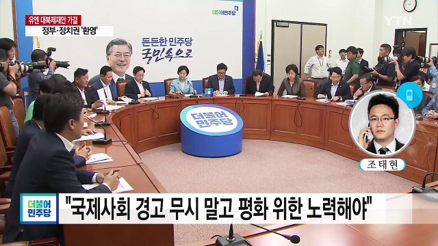 정부, 대북 제재 결의안 '환영'...정치권은 엇갈린 반응 / YTN