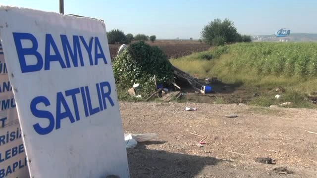 Otomobil Tarım İşçilerinin Kaldığı Çadıra Girdi: 4'ü Çocuk, 7 Yaralı