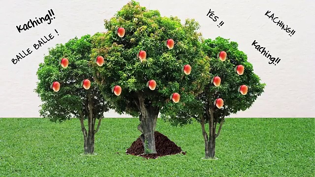 Difference Between Saving Money and Investing Money – Franklin Templeton India