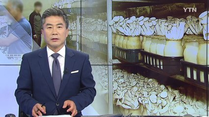 신품종 버섯 2종 개발...농가소득·건강 증진 / YTN
