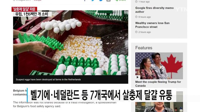 '살충제 달걀' 천6백만 개 소비...벨기에, EU에 '늑장 통보' / YTN