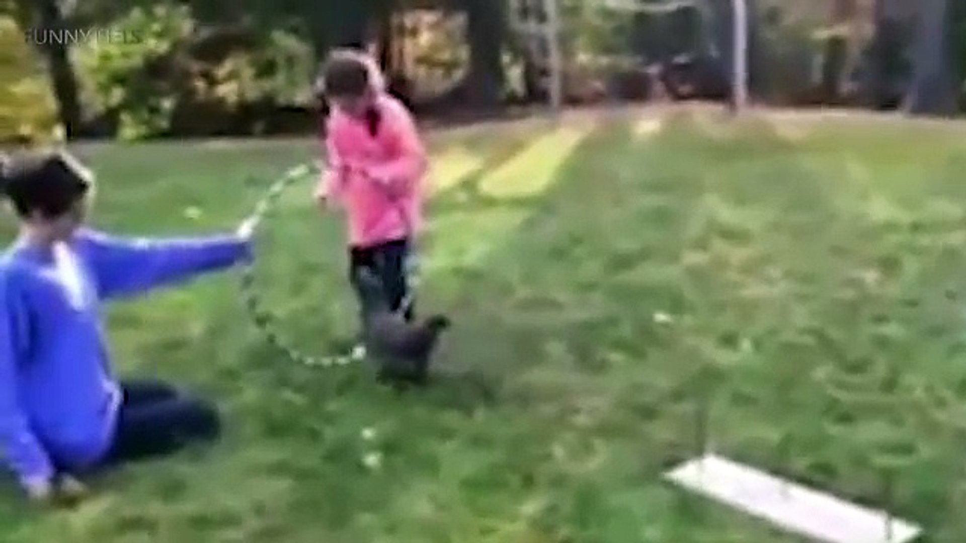 ⁣Funny-Chickens-2017- Funny-Pets