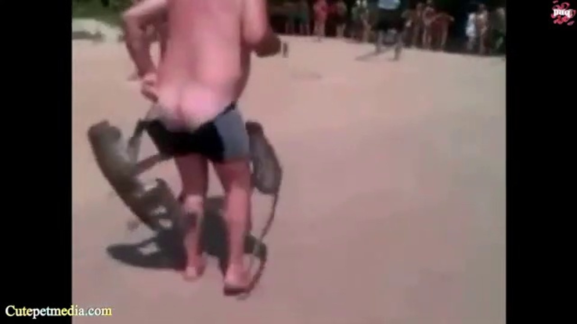⁣MONKEYS  Funny Monkey Videos  Funny Pets