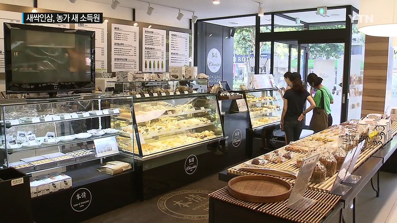 몸에 좋고 맛좋은 '새싹인삼'...농가 새 소득원 / YTN