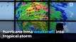 Irma weakens into tropical storm as it heads north