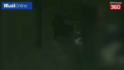 E frikshme/ Gruaja ndesh nje zombie ne park (360video)