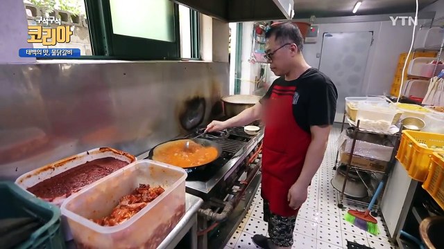 [YTN 구석구석 코리아] 열대야 없는 고원의 숲, 태백 / YTN