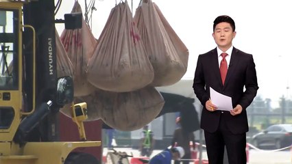 세월호 화물칸 발견된 유해는 故 허다윤 양 / YTN