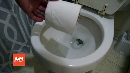 Easy Way To Unclog A Toilet Using A Dish Soap