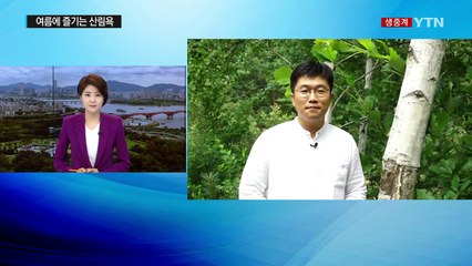 "당신을 기다립니다" 인제 자작나무 숲 / YTN