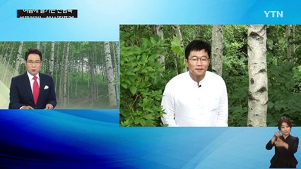 "당신을 기다립니다" 인제 자작나무 숲 / YTN