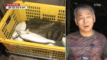 고수온 양식어류 폐사, 절반이 피해보상 못 받아 / YTN