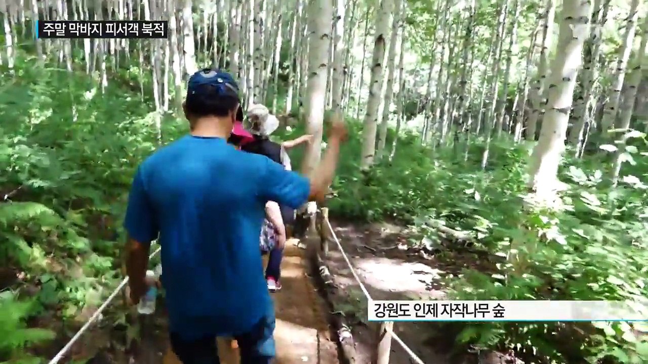 산과 바다에 막바지 피서객 북적 / YTN