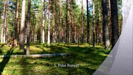 Top 10 Best Places to Visit Near Kodaikanal