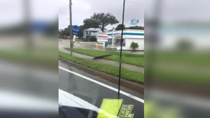 İrma Kasırgasının Vurduğu Florida'da Timsahlar Sokaklara İndi