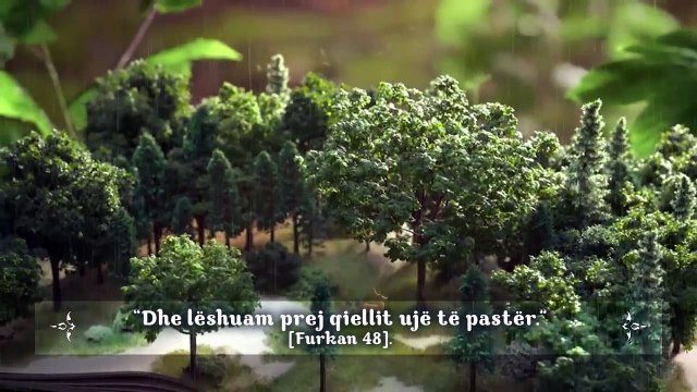 Mirësitë e rënies së shiut Lutjet që bënte Profeti alejhi selam kur binte shi