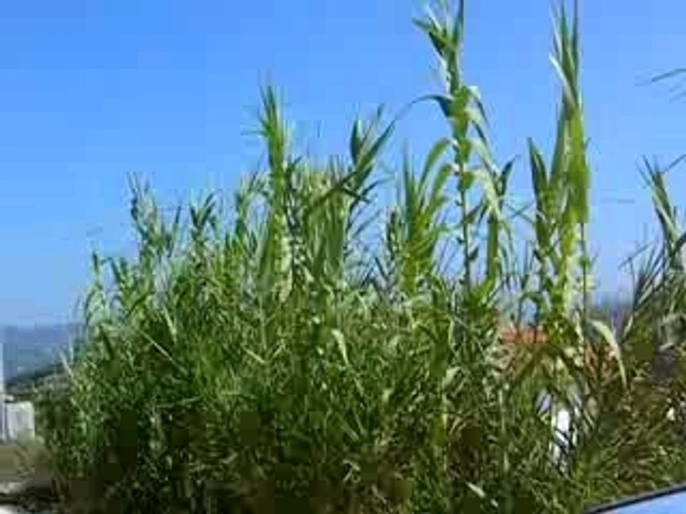 FILM EN MOTO BALLADE VALLEE DU DOURO PORTUGAL