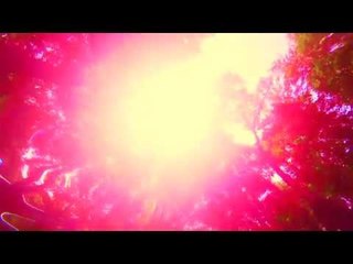 Underwater World of Florida Beautifully Captured