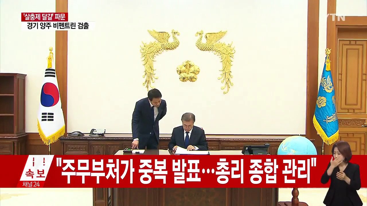 "살충제 달걀 총리실 종합 관리...기준치 이하 살충제 달걀 전량 폐기" / YTN