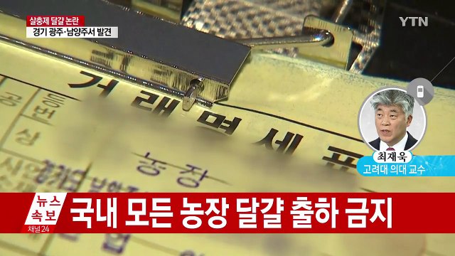 국내산 달걀도 살충제 검출...달걀 출하 금지 / YTN