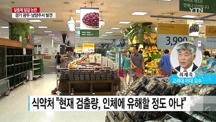 '살충제 검출' 파문...이미 산 달걀은 어쩌나 / YTN