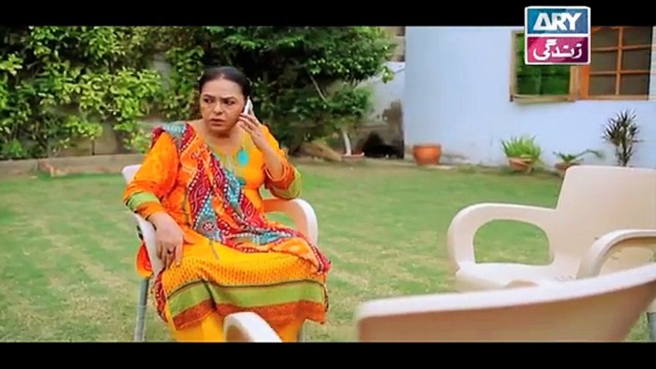 Haal-e-Dil Episode 208