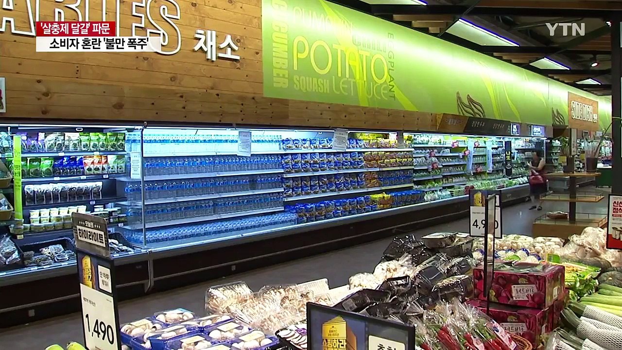 달걀 판매 전면 중단...소비자·업계 불안 고조 / YTN