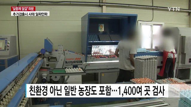 내일까지 살충제 전수 조사...'달걀 파동' 분기점 / YTN