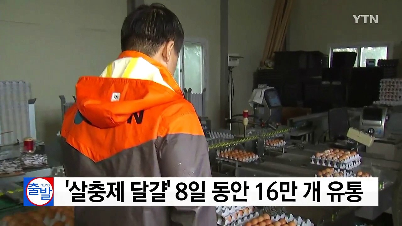 '살충제 달걀' 8일 동안 16만 개 유통 / YTN