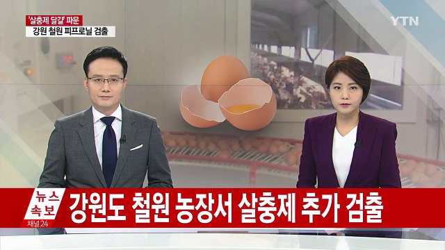 강원도 철원 산란계 농장에서 피프로닐 검출 / YTN
