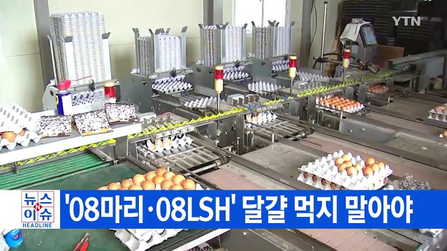 [YTN 실시간뉴스] 철원 농장에서도 달걀 살충제 검출 / YTN