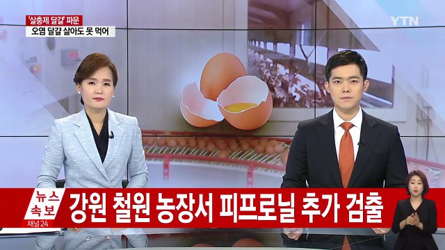 농장 1곳 피프로닐 추가 검출...내일 조사 마무리 / YTN