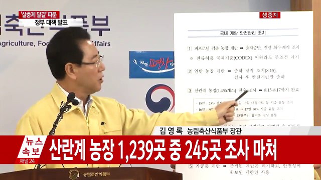 '살충제 달걀' 추가 확인…정부 대책 발표 / YTN