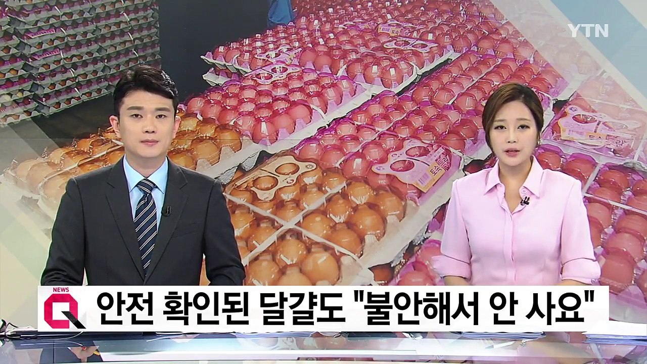 판로 막힌 달걀 창고에 '수북'...소비자 불안 여전 / YTN