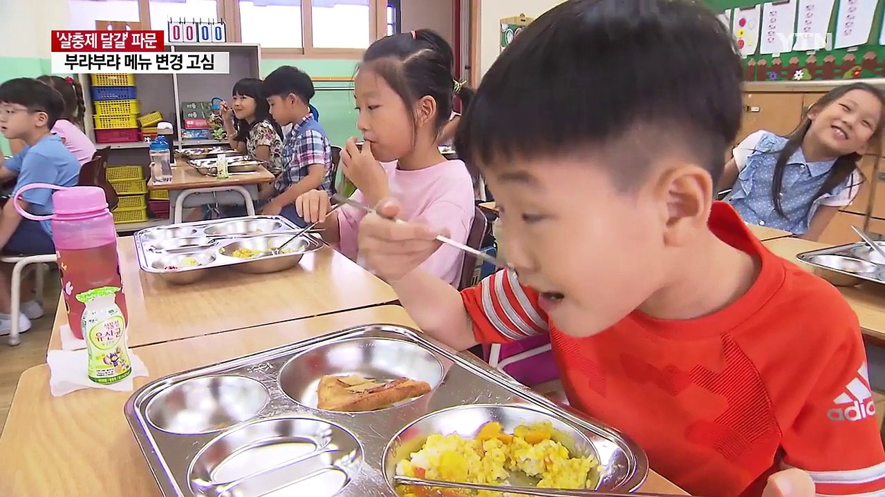 학교 급식에도 '살충제 달걀' 불똥 / YTN