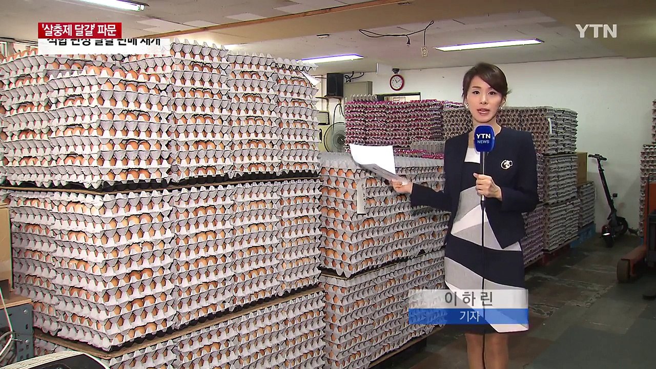판로 막힌 달걀 창고에 '수북'...소비자 불안 여전 / YTN