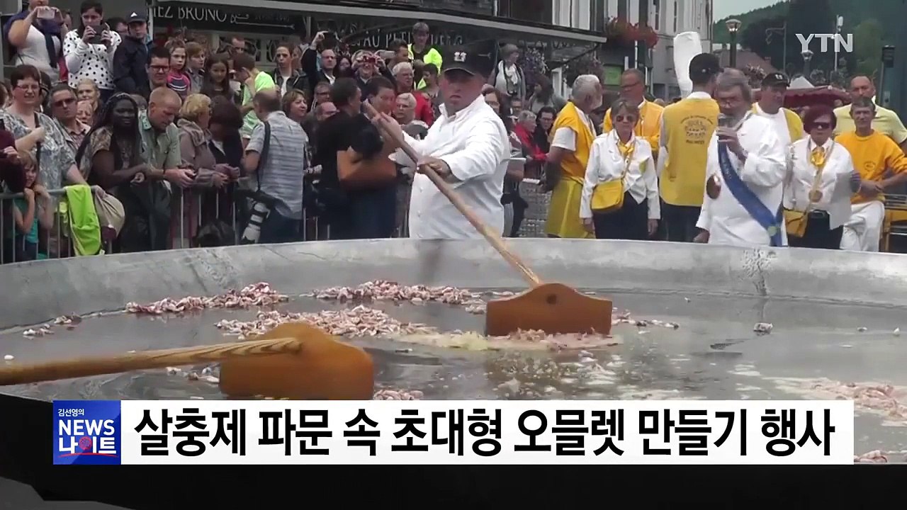 [영상] 벨기에, 살충제 달걀 파문 속 '대형 오믈렛' 행사 / YTN