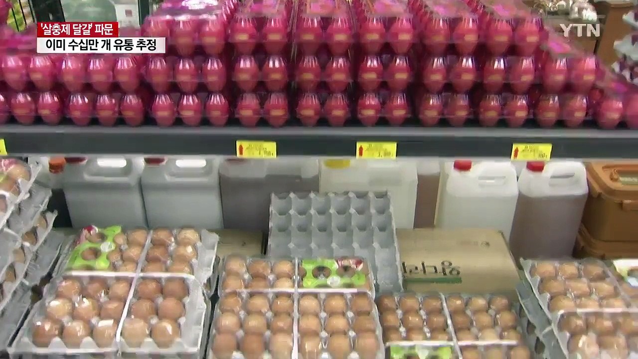마트·시장에 이미 퍼진 '살충제 달걀' 수십만 개 추정 / YTN
