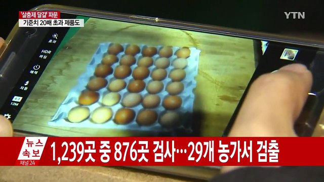 '살충제 달걀' 23개 농가서 추가 검출 / YTN