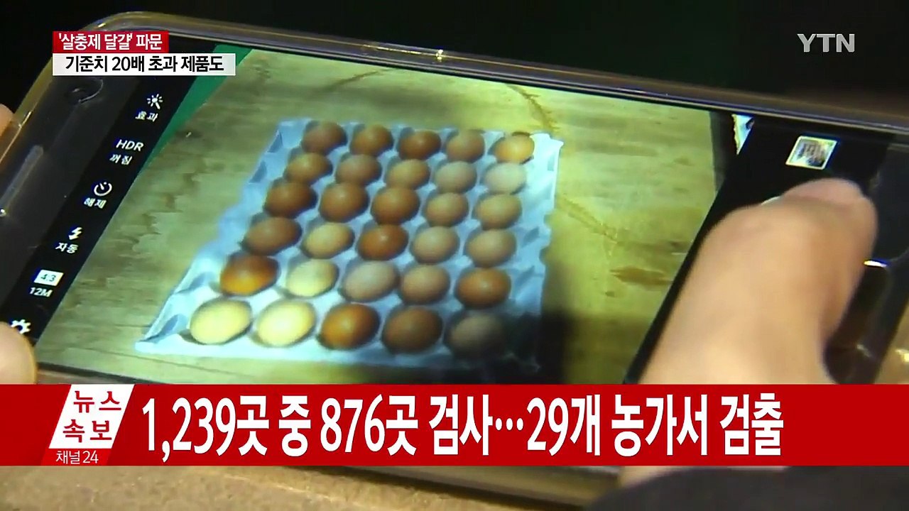 '살충제 달걀' 23개 농가서 추가 검출 / YTN