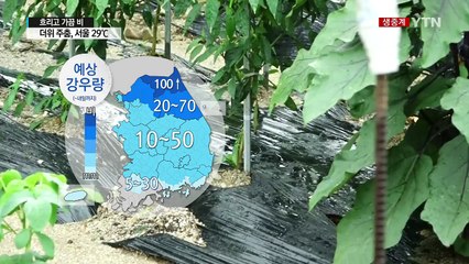 [날씨] 흐리고 가끔 비...더위 주춤, 서울 29℃ / YTN